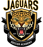 soccer club logo
