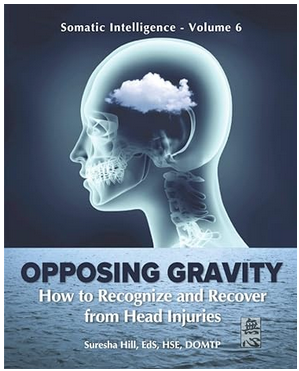 S.I. Vol. 6 - Opposing Gravity; How to Recognize and Recover from Head Injuries