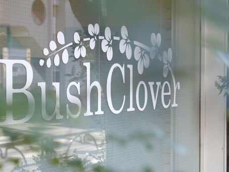 ホームページを更新しました