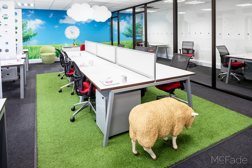 A photo of our coworking room