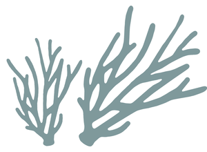 coral big.png