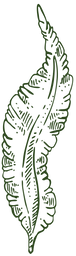 alge_edited.png