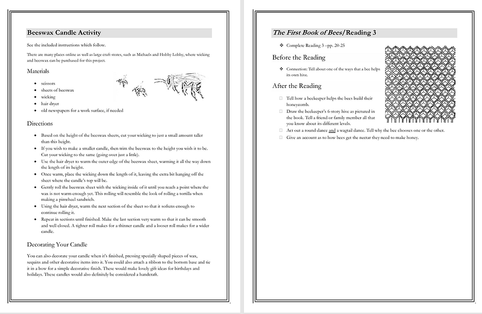 Thumbnail: Meet the Minibeasts: A Guided Study