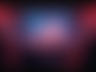 The Role of Presidential Campaign Initiatives