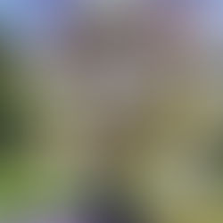 Sengkang Secondary School 2024 Pure Chemistry Paper 2