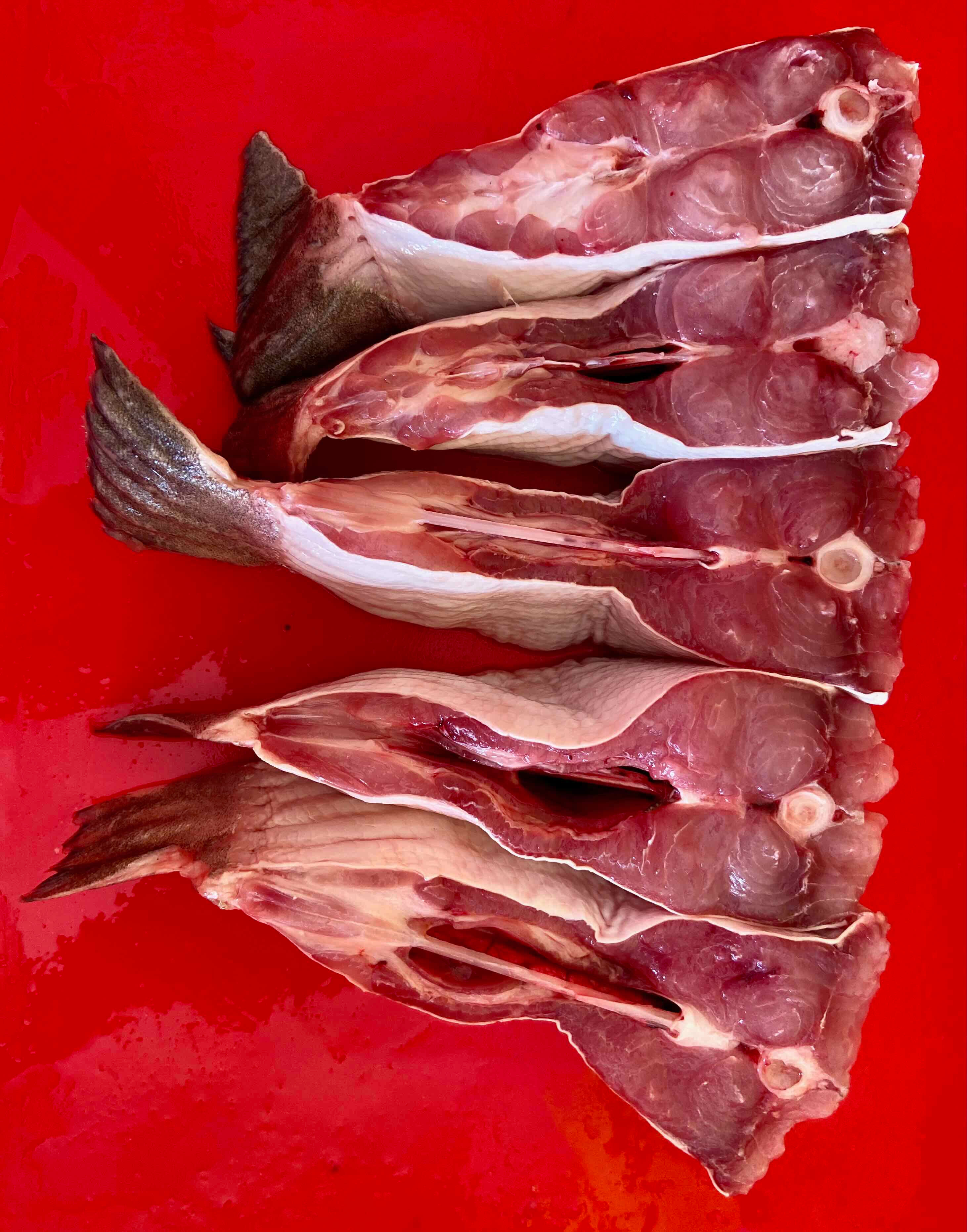 Fresh Chitol peti belly cuts portions prepared for cooking