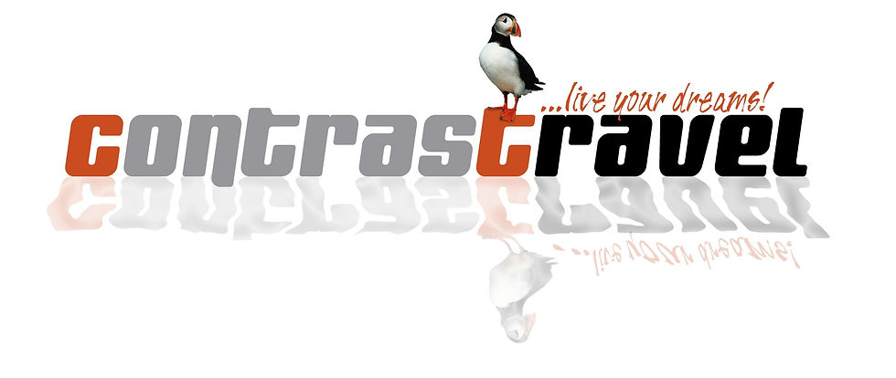 contrastravel - Puffin...live your dreams!.jpg