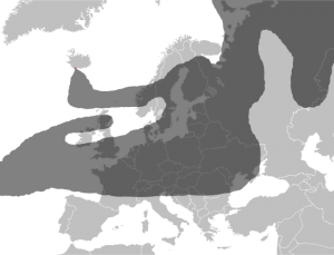 Alle warten auf Katla