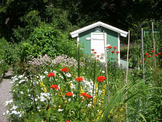 Schwedische Gartenkultur:
Naturnah, nützlich, minimalistisch