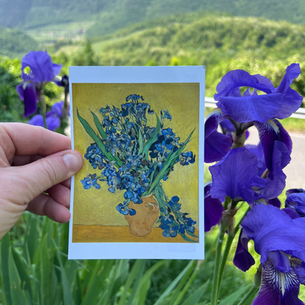 Valpolicella Iris: Where Nature Inspires Art and Luxury