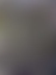 L’Oro Verde di Valpolicella: Il Nostro Olio Extra Vergine di Oliva