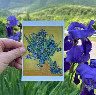 Valpolicella-Iris: Wo Natur Kunst und Luxus inspiriert