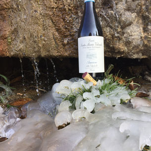 Amarone Opera Prima, 22nd Edition, in conjunction with the Milano Cortina 2026 Winter Olympic Games