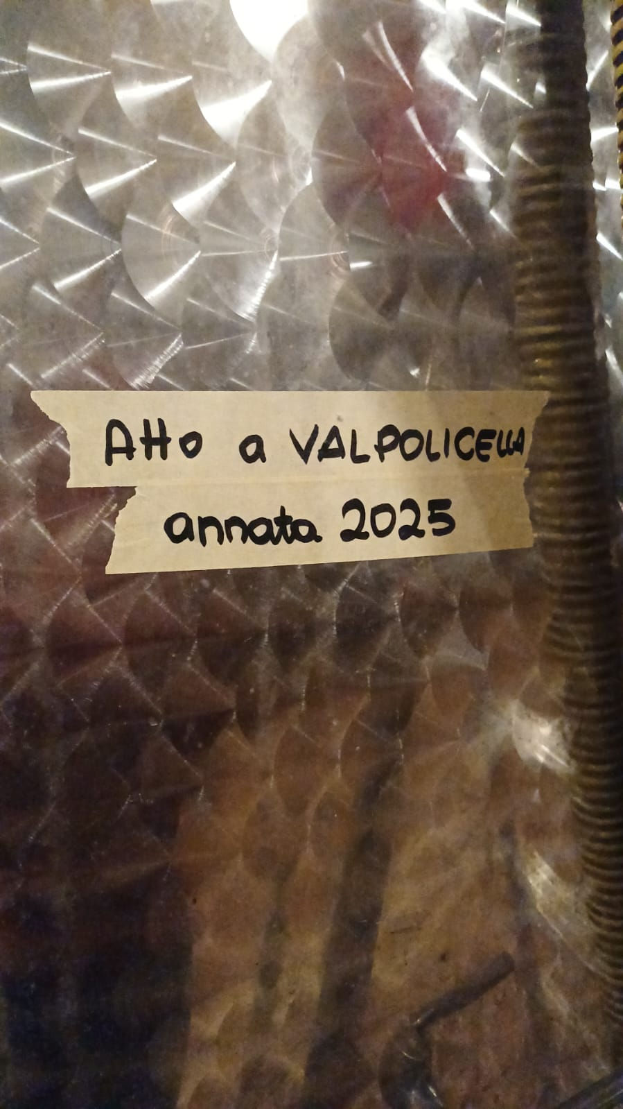 📖 Diario di viticoltura – 29 ottobre 2025

È nato il Valpolicella Superiore 2025