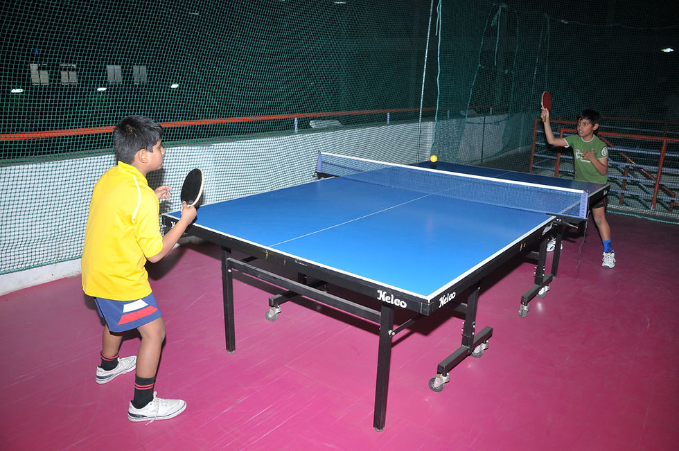 Table Tennis court RR nagar Best Club 3