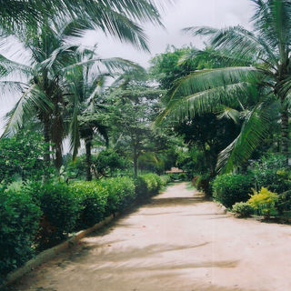 R Arunachalam RR nagar - Airport Meadows 11