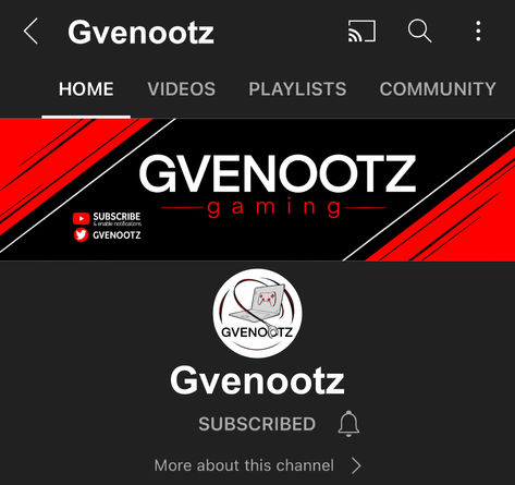 Gvenootz YouTube Mock Up 2.jpg