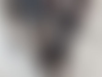 Eason (M; ~ 2 years old when rescued; stray dog)