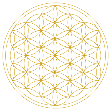 http___www.gesundheitsshop-hofmann.at_sh