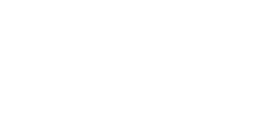 Logo_b_text_weiss.png