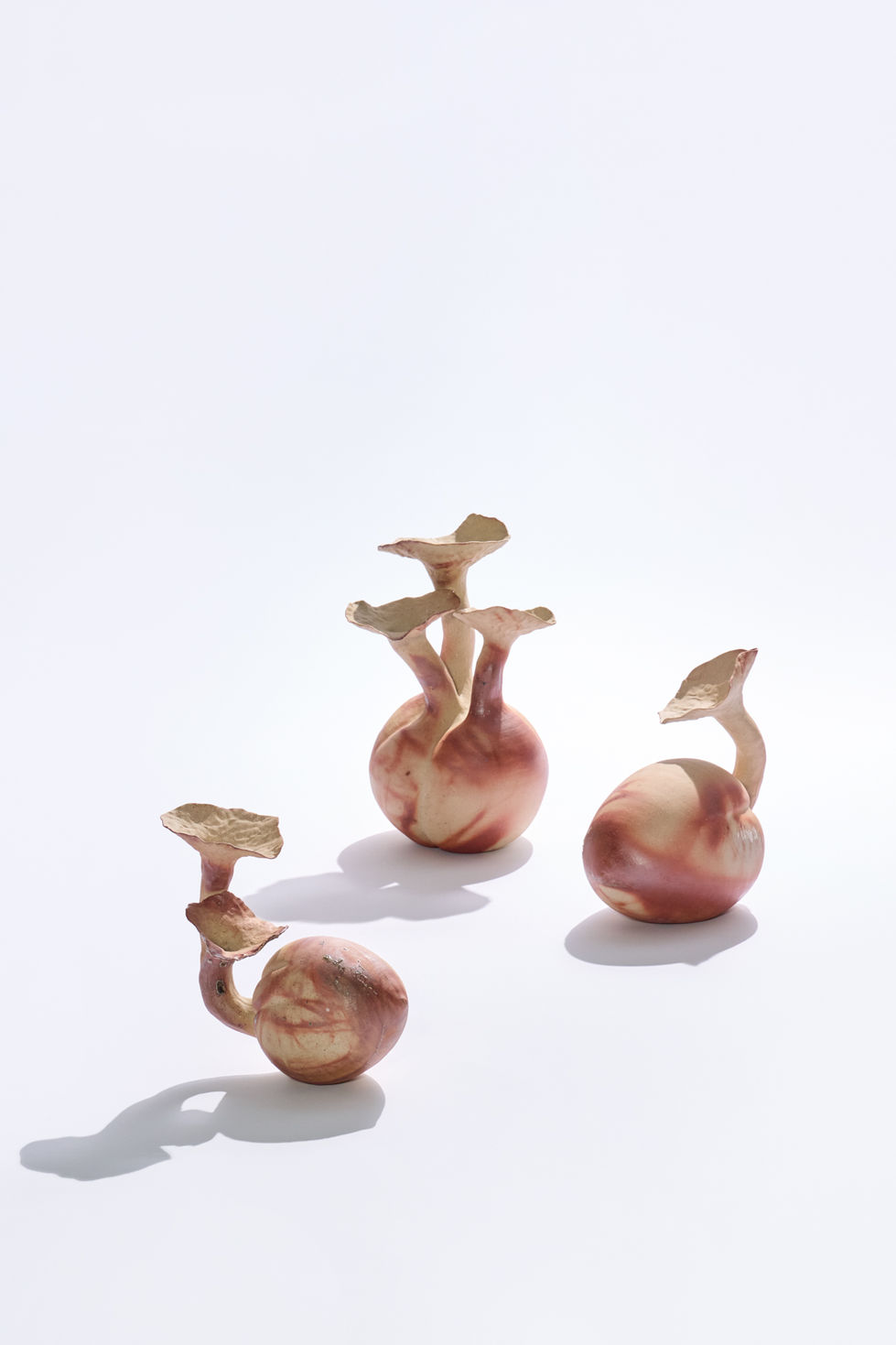 Bloom Series