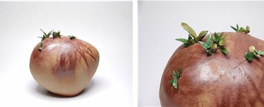 germinate series 1