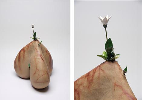 germinate series 2