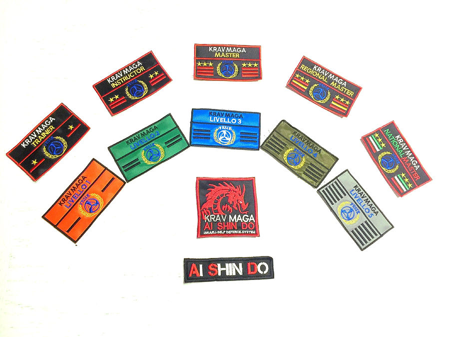 patch aishindo_modificato.jpg