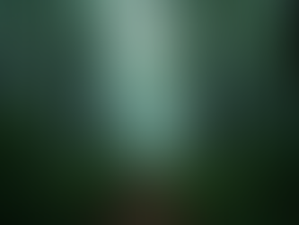 Discover Jharkhand's Hidden Gems and National Parks