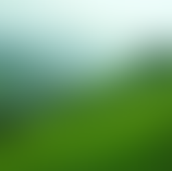 Explore Jharkhand: Top Destinations for Tourists