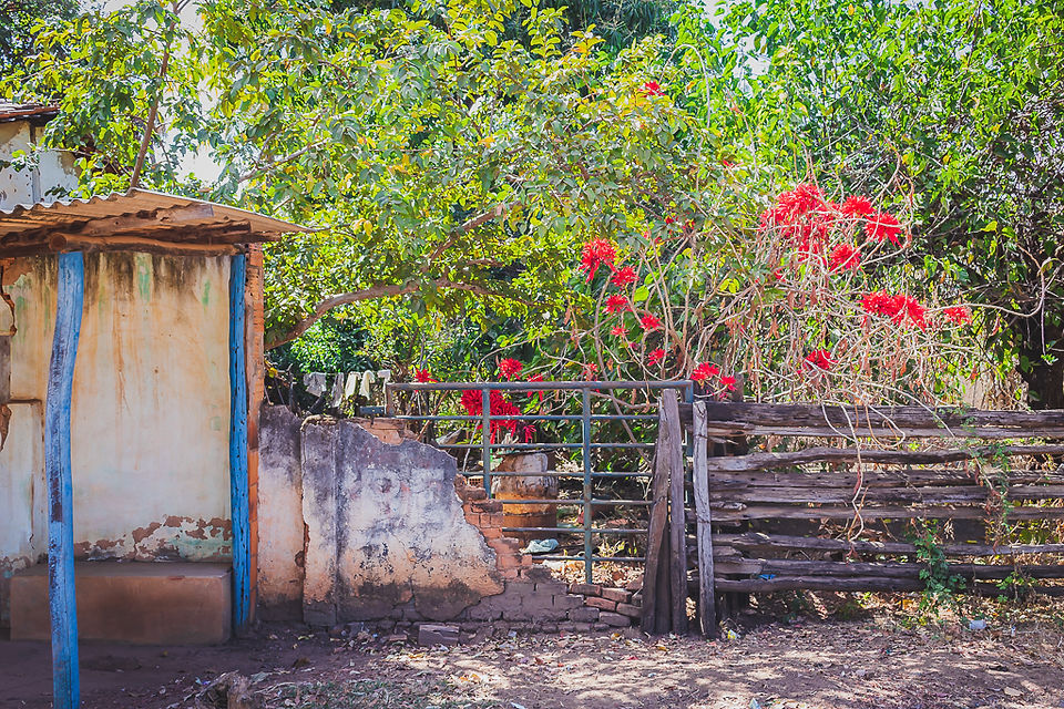 Área rural na Comunidade de São Joaquim em Coração de Jesus, MG. À esquerda aparece a parede de uma varanda. Ao centro um pedaço de um muro em ruínas e uma cerca em madeira. Atrás da cerca há uma vegetação com folhas verdes e flores vermelhas. Foto de Sandra Doyama do VK Guias Digitais Interativos