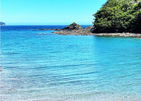 取水している黒潮の海水