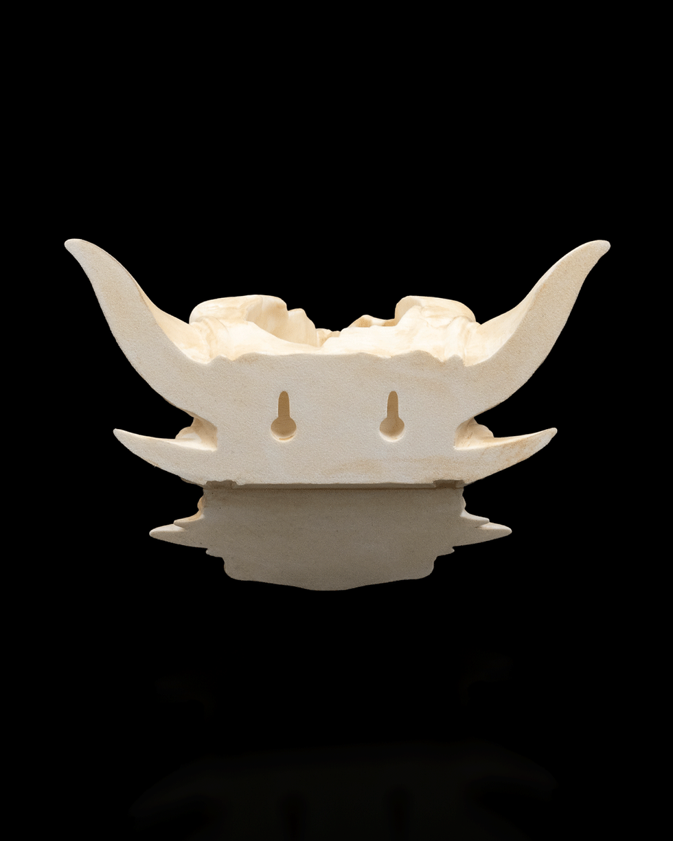 Miniatura: Vaso de Parede Dragão 3D – Decoração Fantasia / Planter