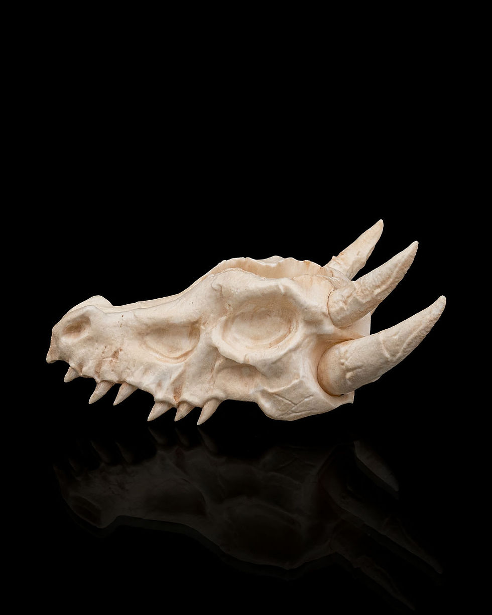 Miniatura: Caveira de Dragão Vaso Decorativo 3D – Decoração Geek, Medieval e Fantasia