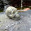 Thumbnail: Skull Carvings