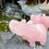 Thumbnail: Rose Quartz Elephant Carvings