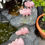 Thumbnail: Rose Quartz Elephant Carvings