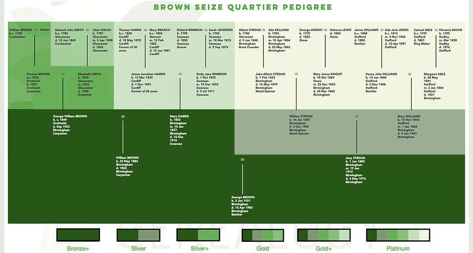 AS Genealogy Packages.001.jpeg