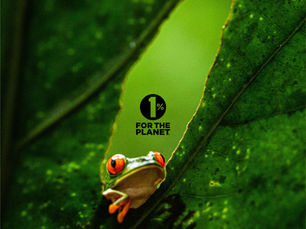 Samanea Innovation joined 1% for the Planet