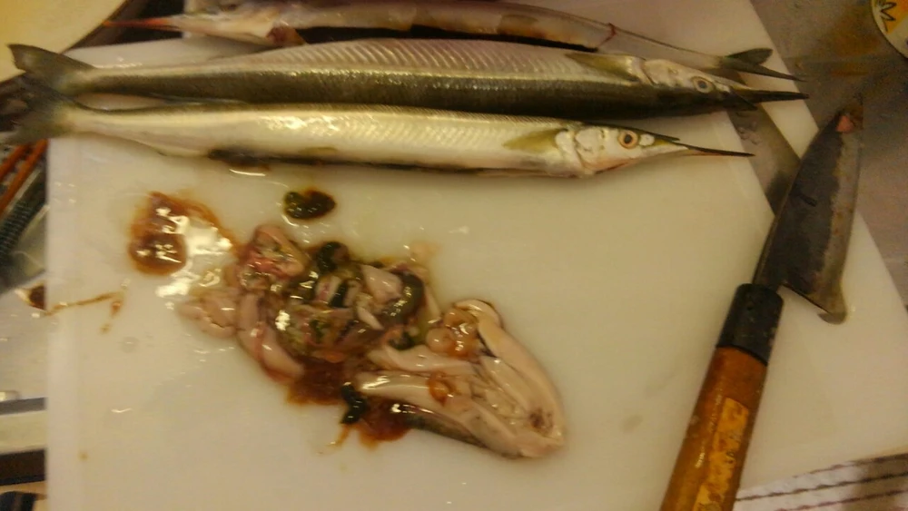 料理日誌サヨリ塩焼き