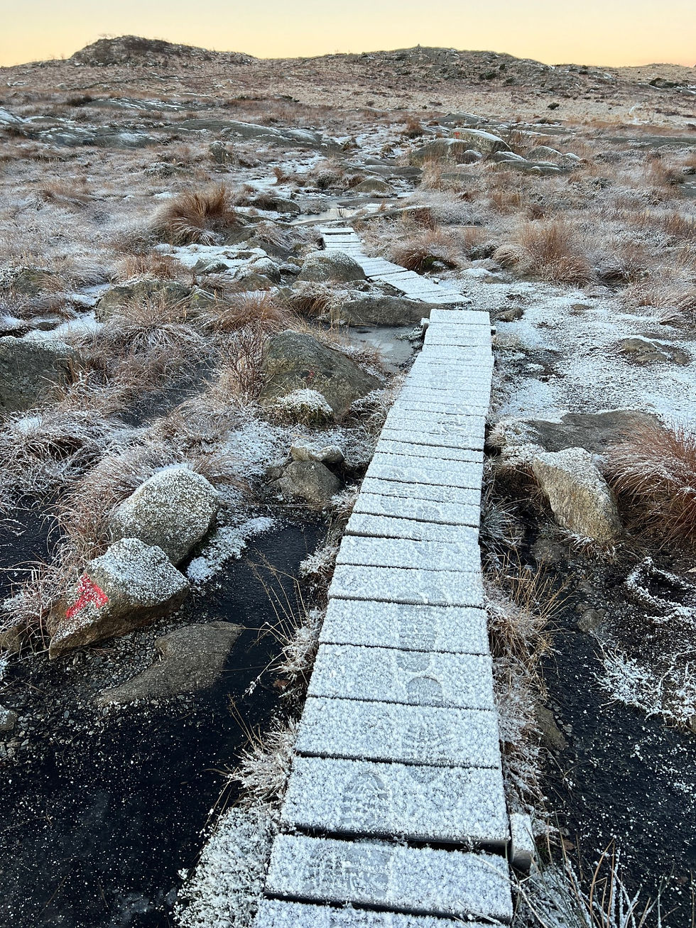 Det kjennes trygt å gå på stier der noen har gått før deg.