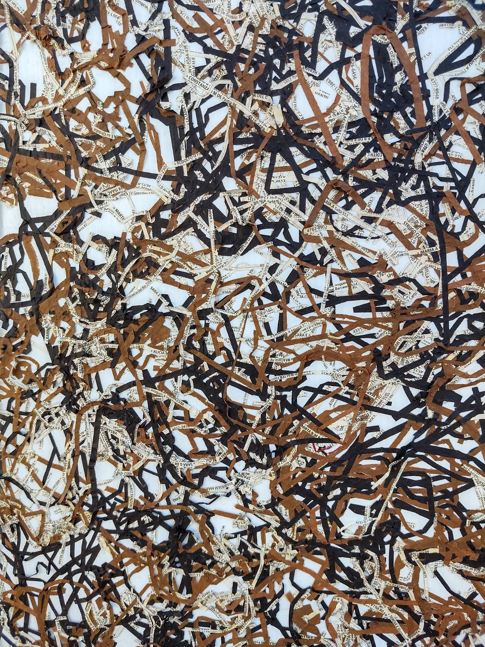 DETALLE, serie Entrevero