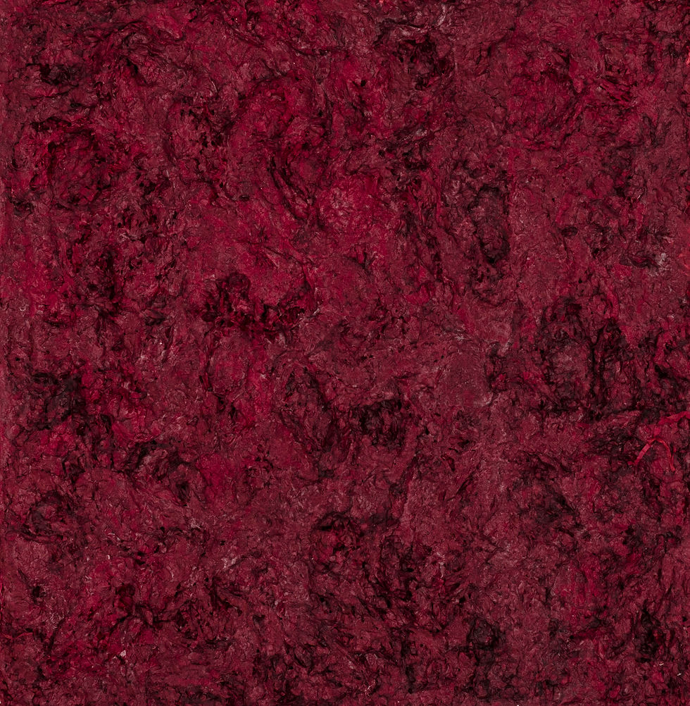 ST, Serie Laguna, técnica mixta, 50x50cm, 2014