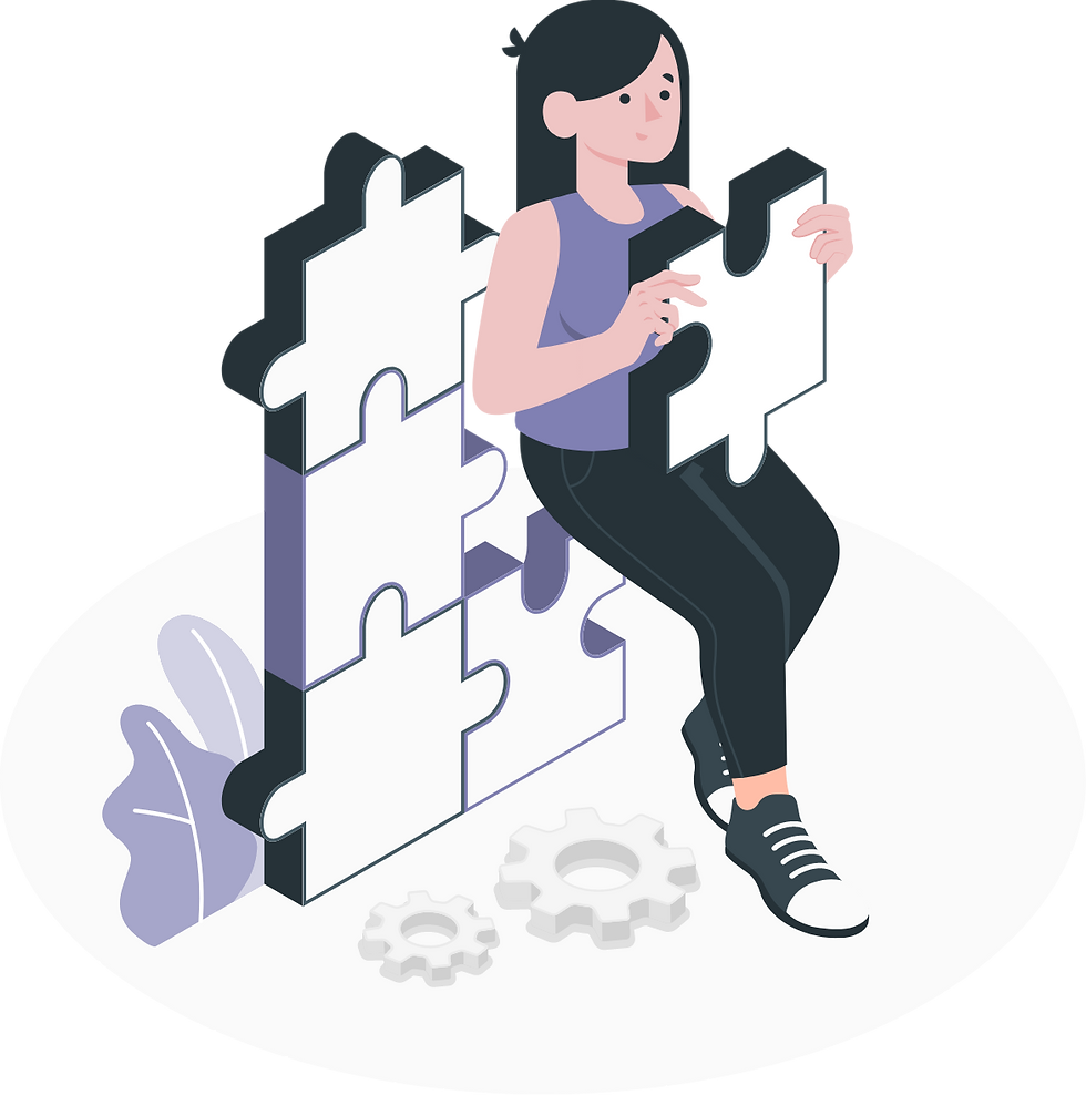 illustration branding nova offre identité visuelle premium alodis design