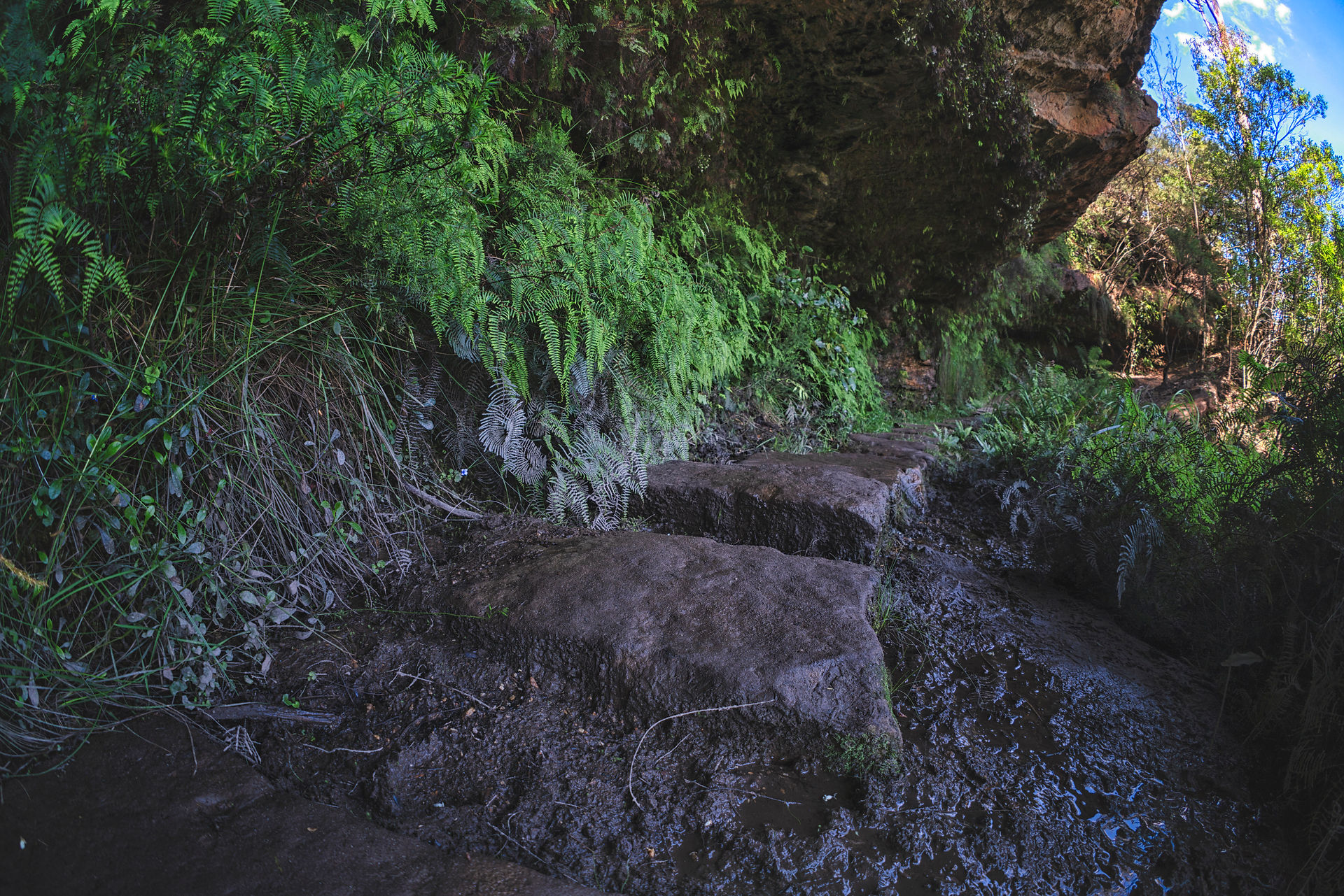 Steps through the cave