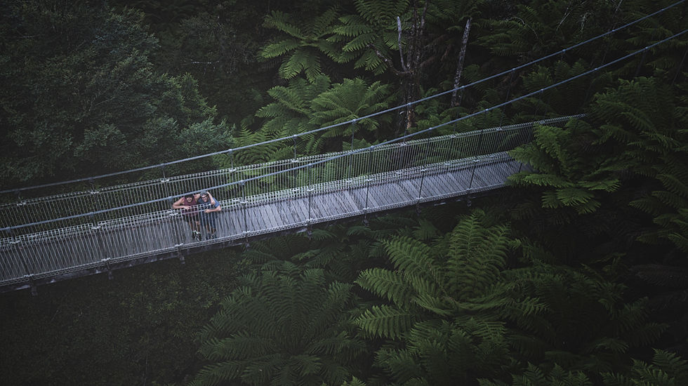 T-Rex and Candlestick alone in the forest