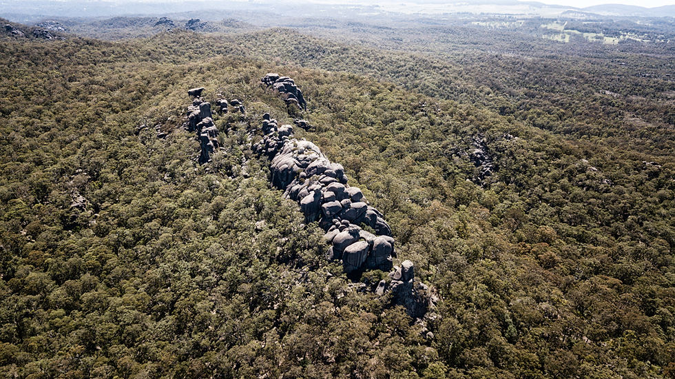 Cathedral Rock National Park