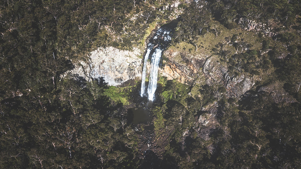 Ebor Falls