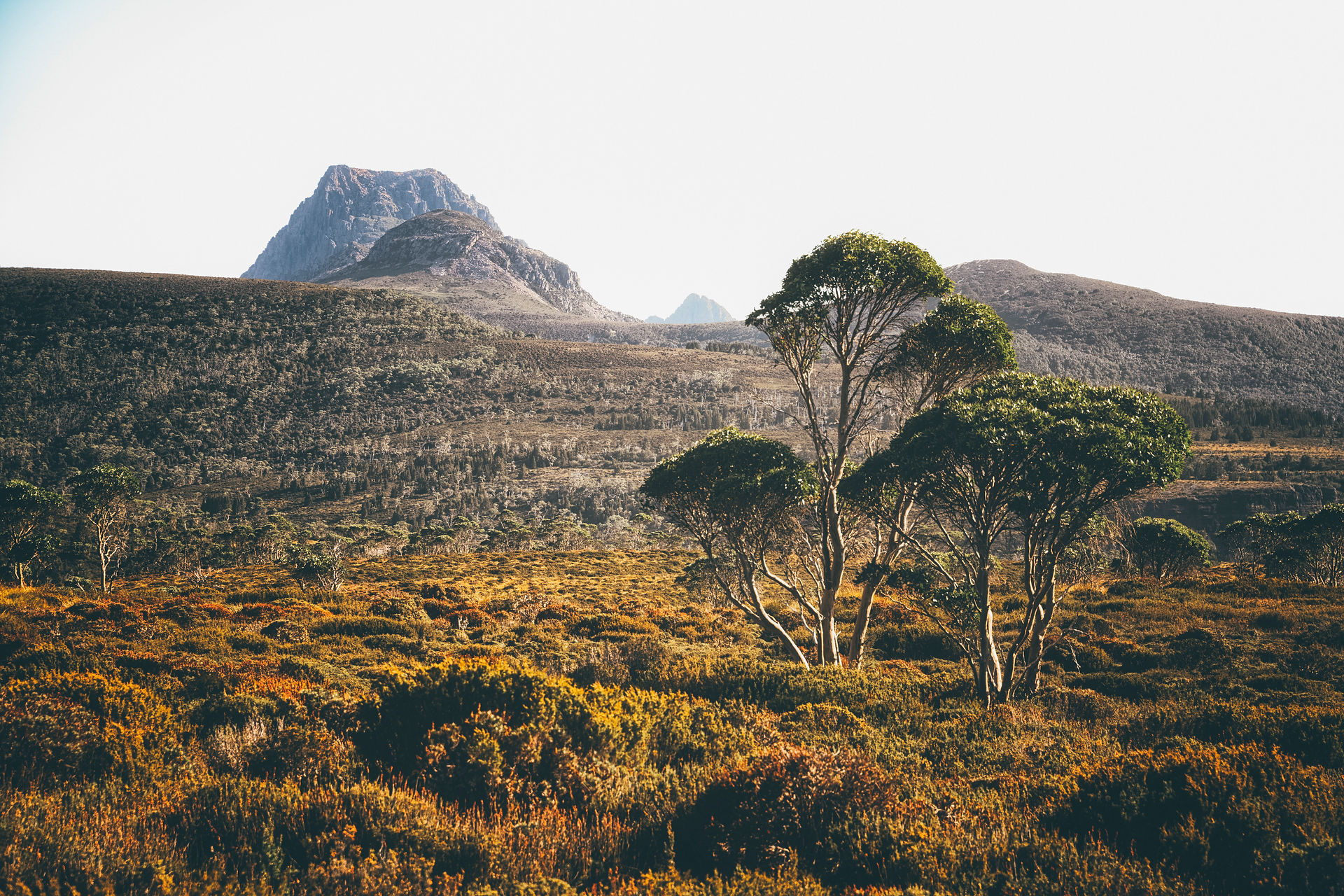 Overland Track - Day 2-4
