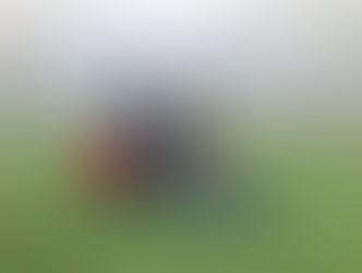 リトルイレブン杯（４年）準優勝でした！